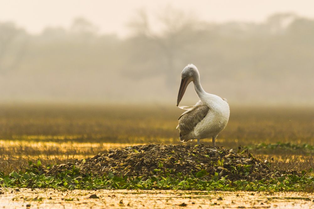it,s cleaning time....