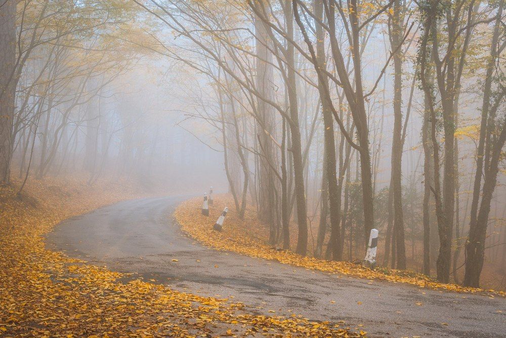 Туман на Ай-Петри