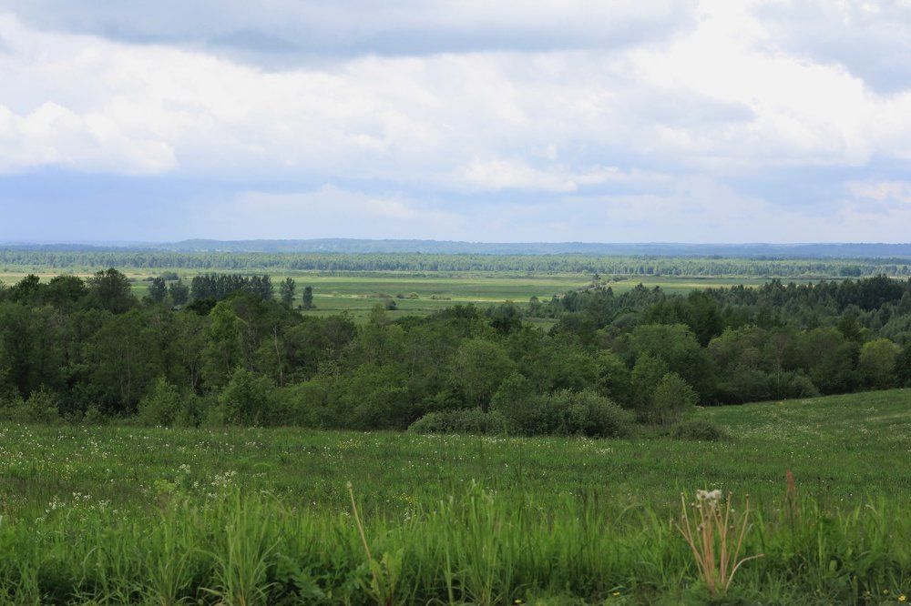 Русские просторы