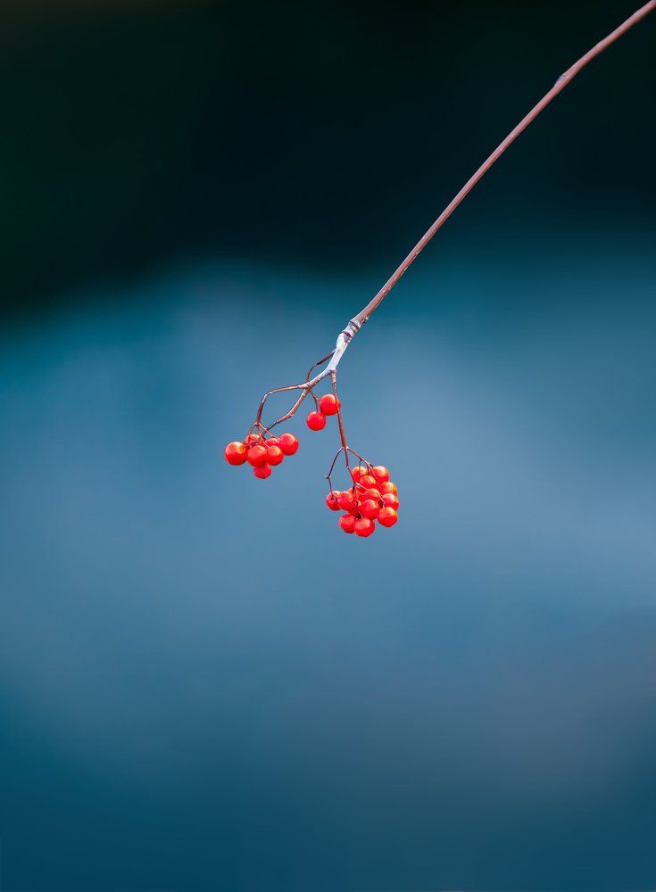 Краски польской осени