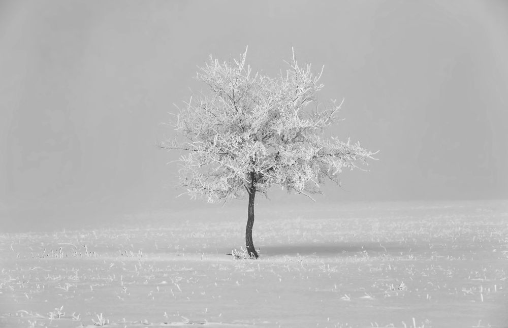 Одиночество