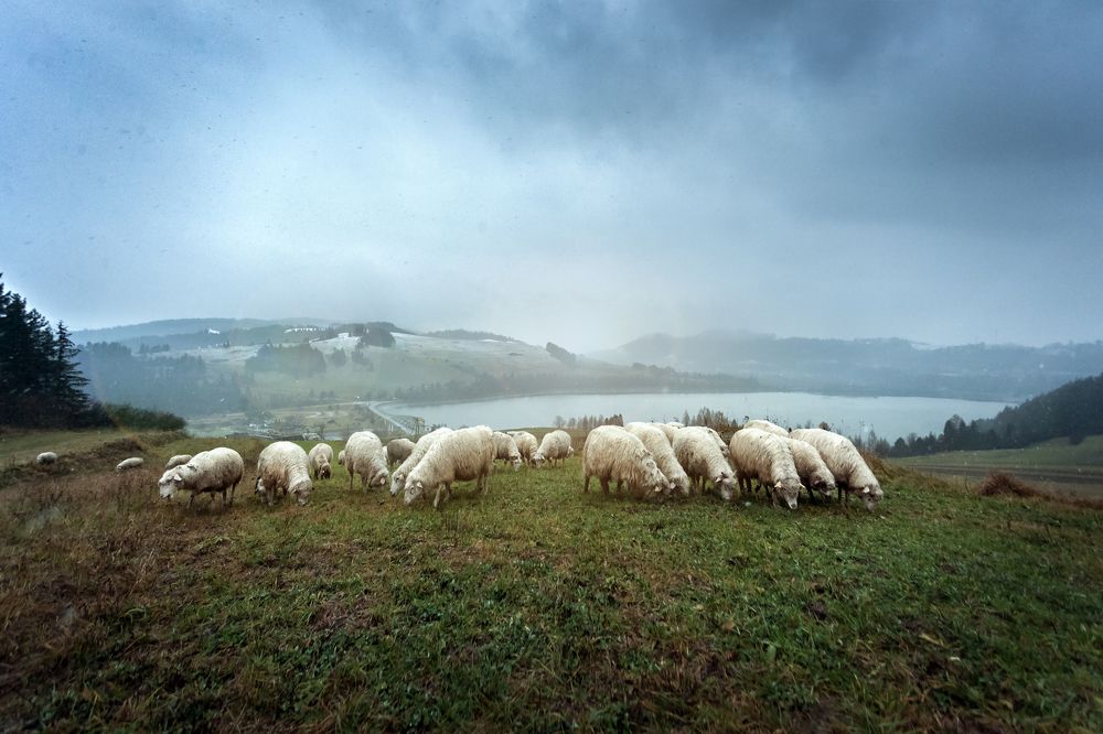 Знакомство с польскими деревнями