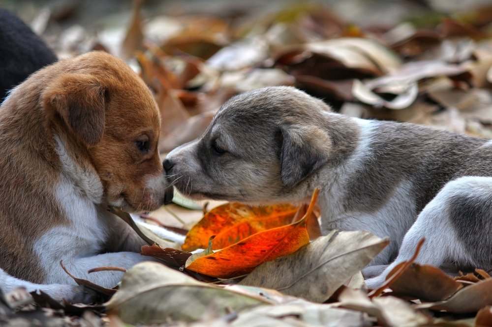 Speechless emotions.