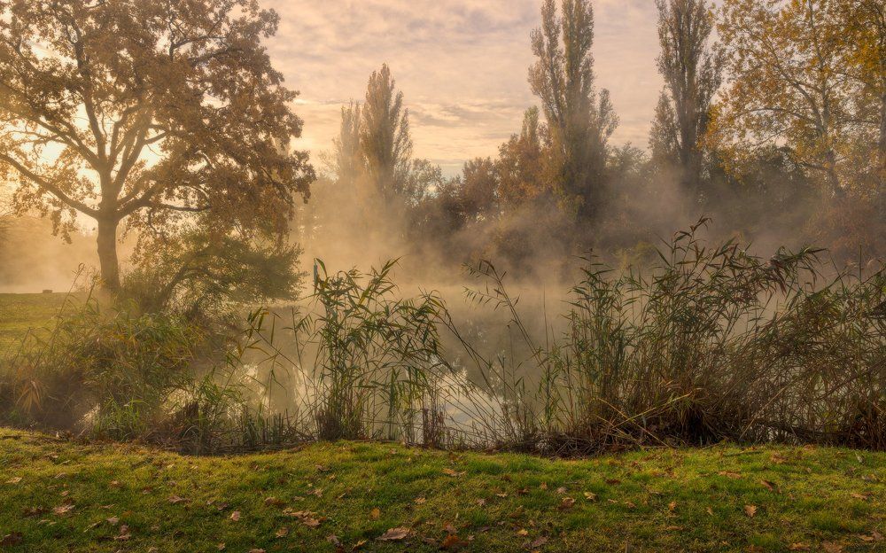 Утро осеннее