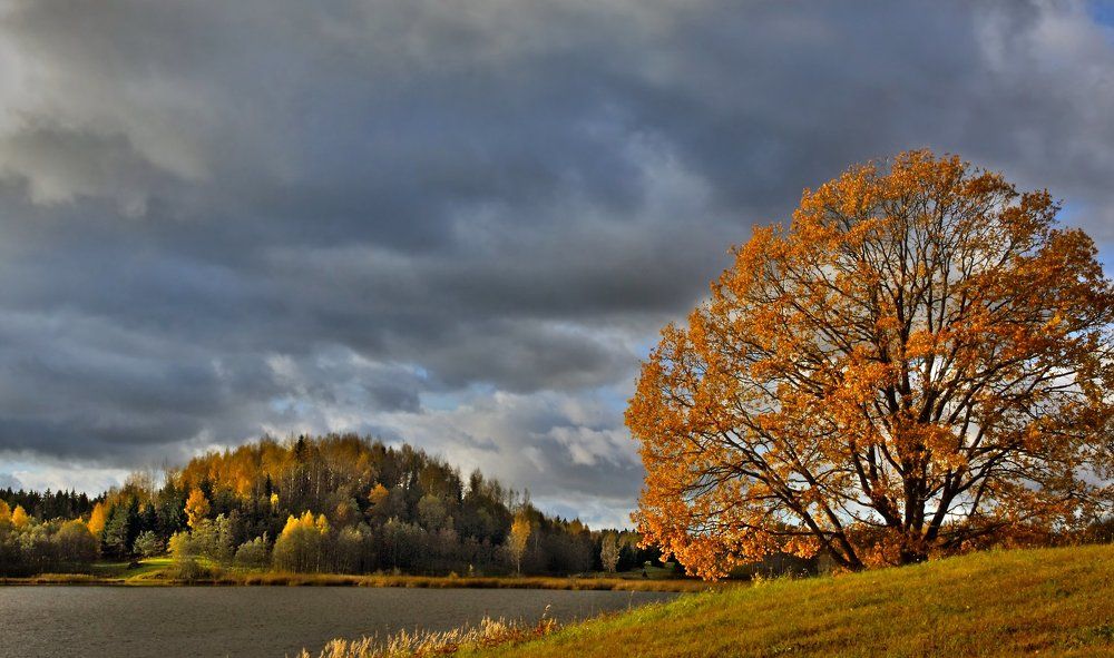Приметы осени