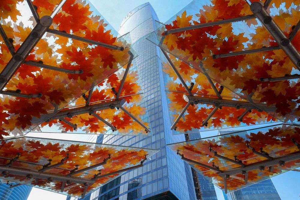 Оранжевый Сити