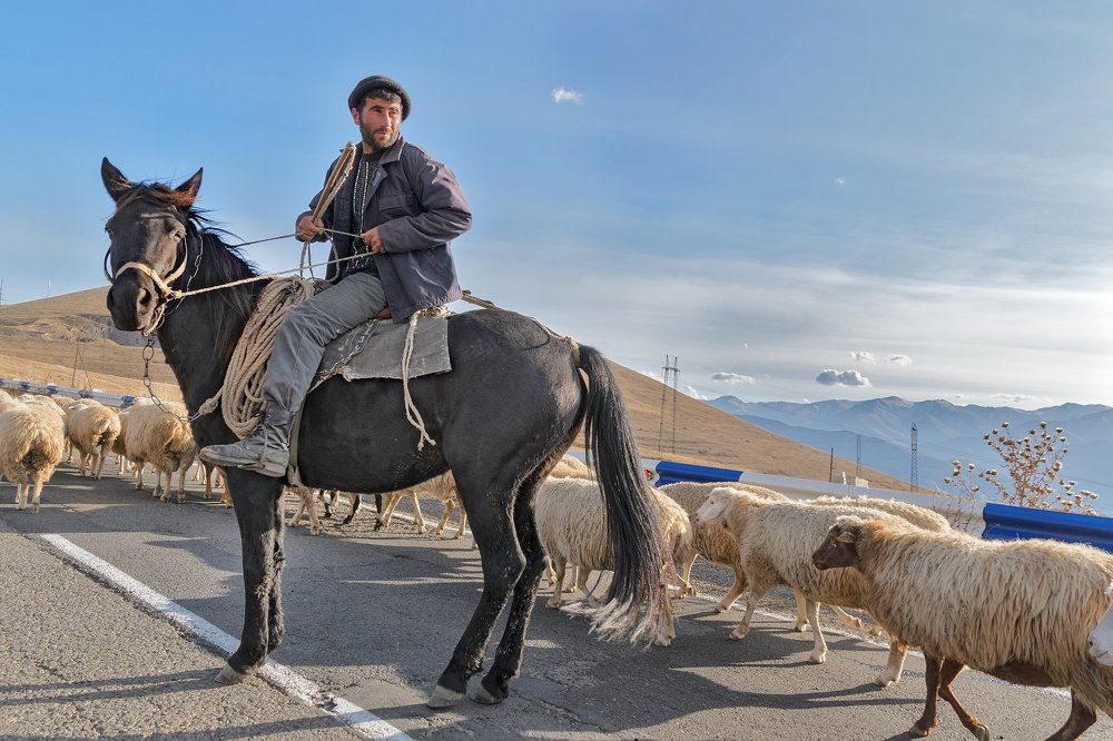 Армянский пастух