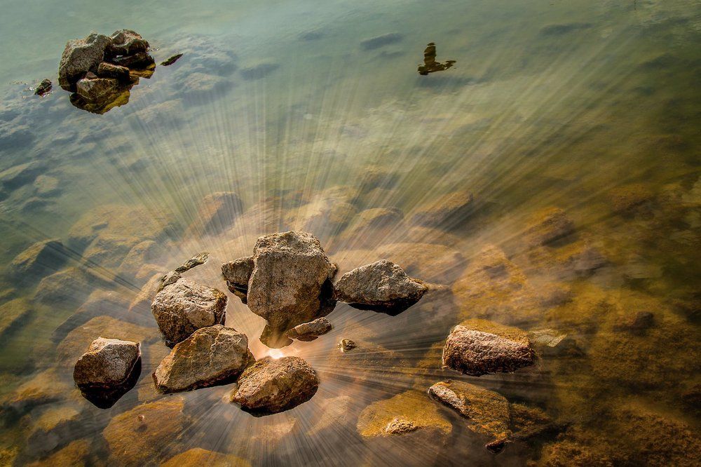 Сотворение