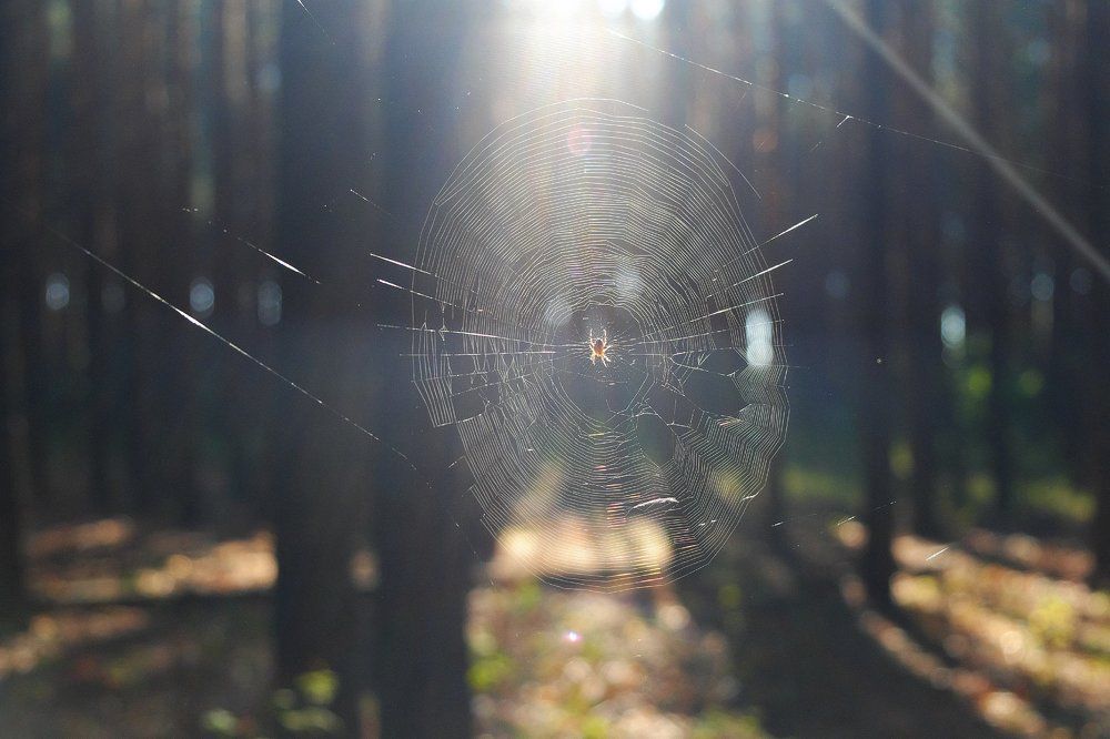 Photograph by Андрей