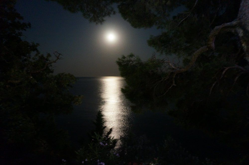 лунная дорожка