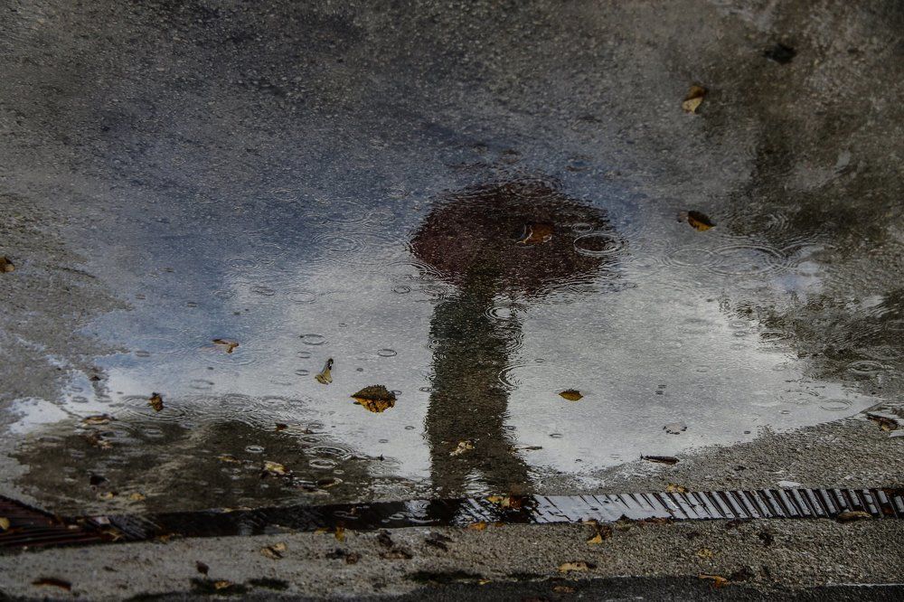 Photograph by Svetlana Guzeeva