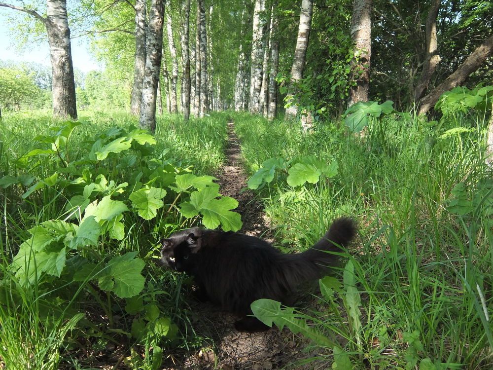 Зачем я здесь??