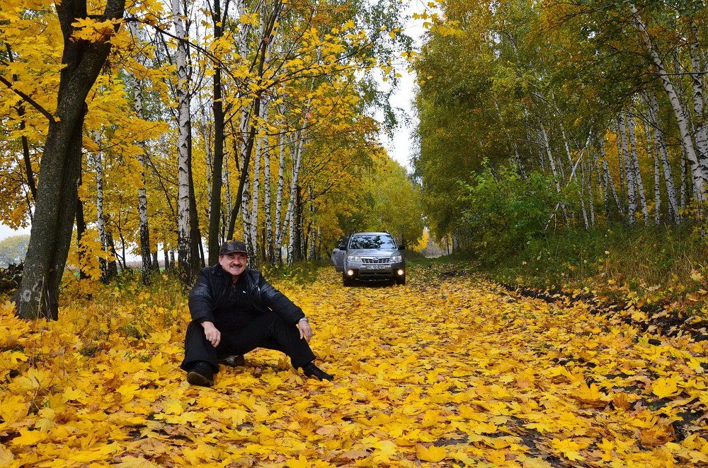 Кленовая метель