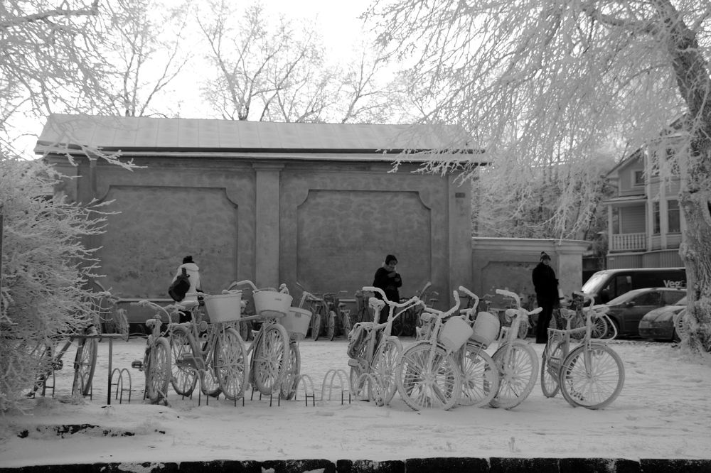 Photograph by Арутюнян Ануш