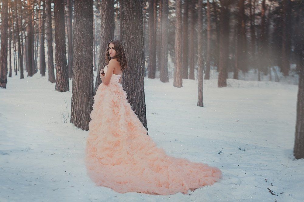 Зимняя сказка