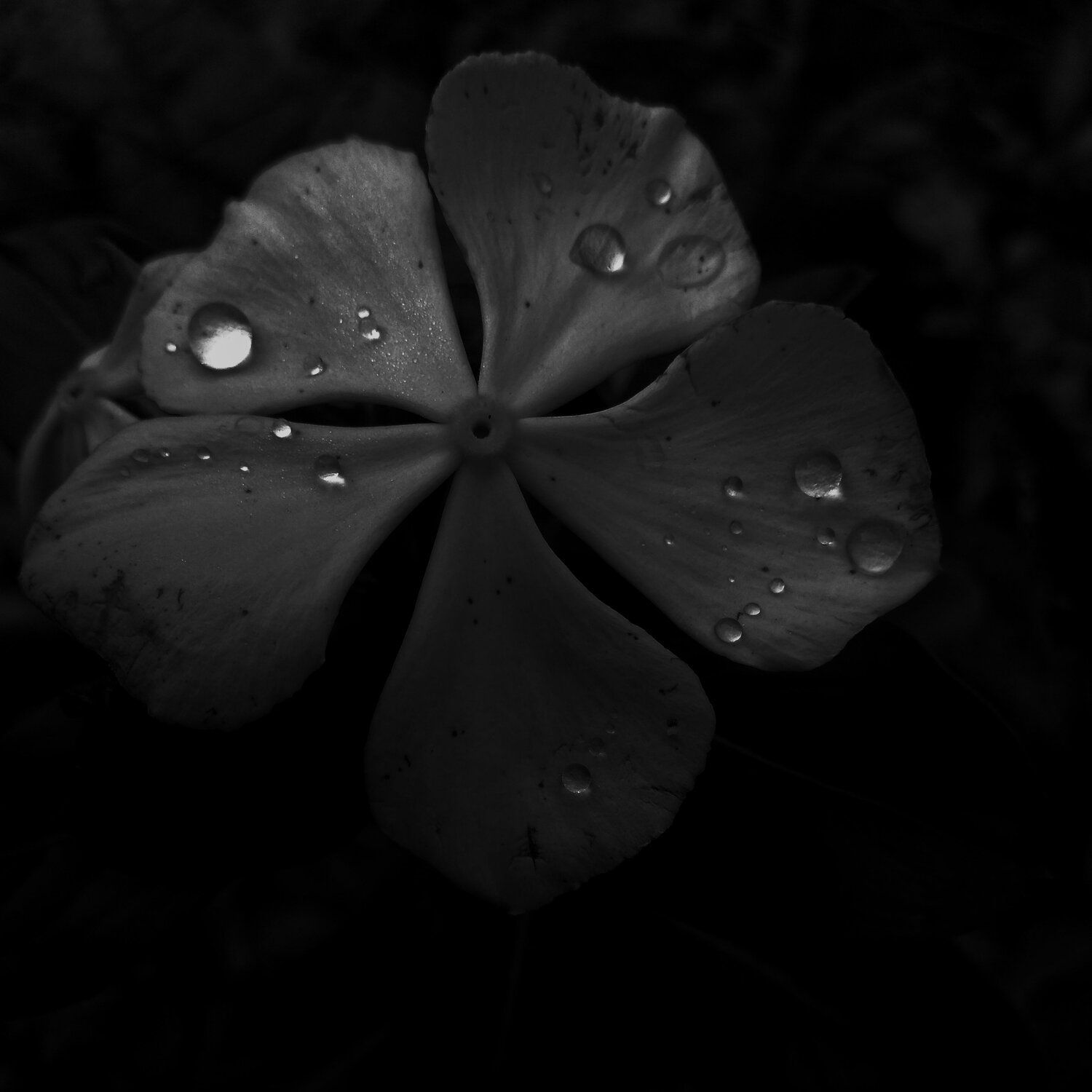Droplets