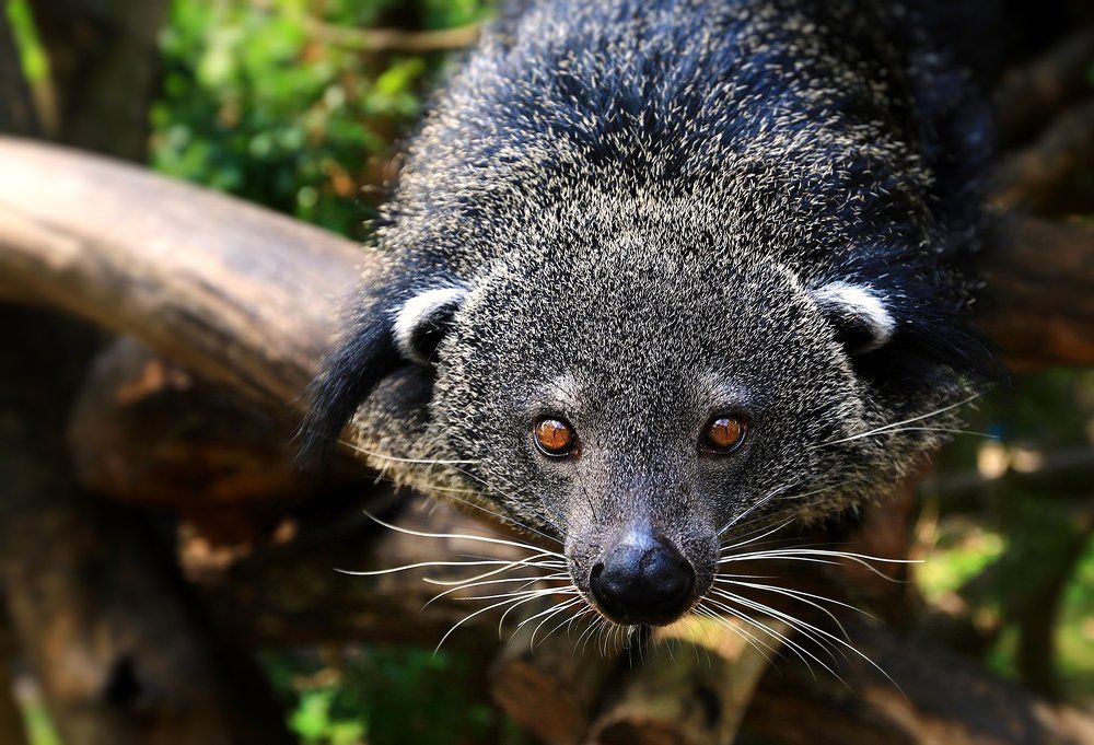 Photograph by Сергей Найбич