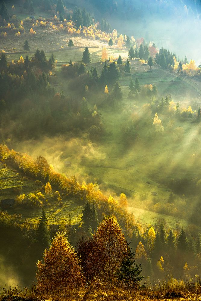 Лучи, которые греют землю