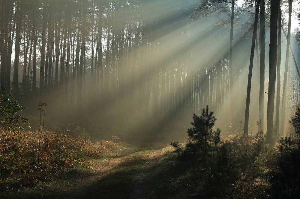 Октябрьскими лучиками