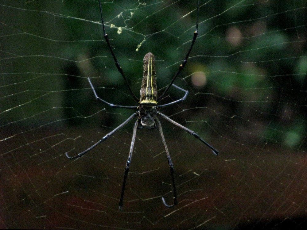 Photograph by Ages ragil