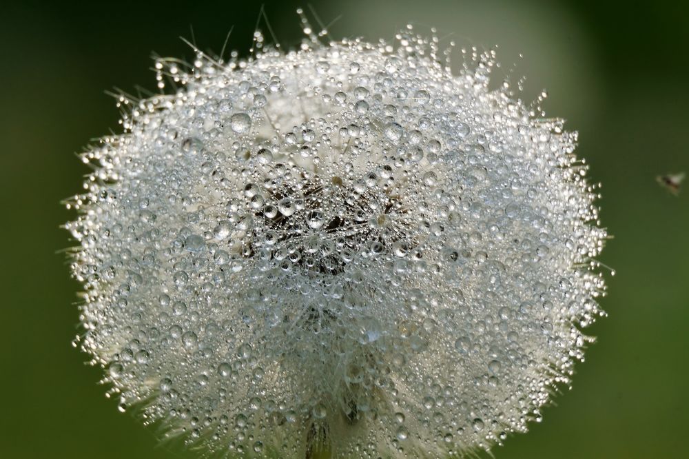 Photograph by Александр Попов