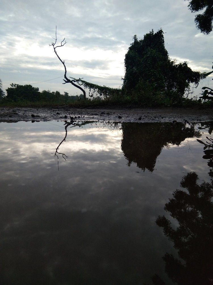 The Natural Reflection Of Photography