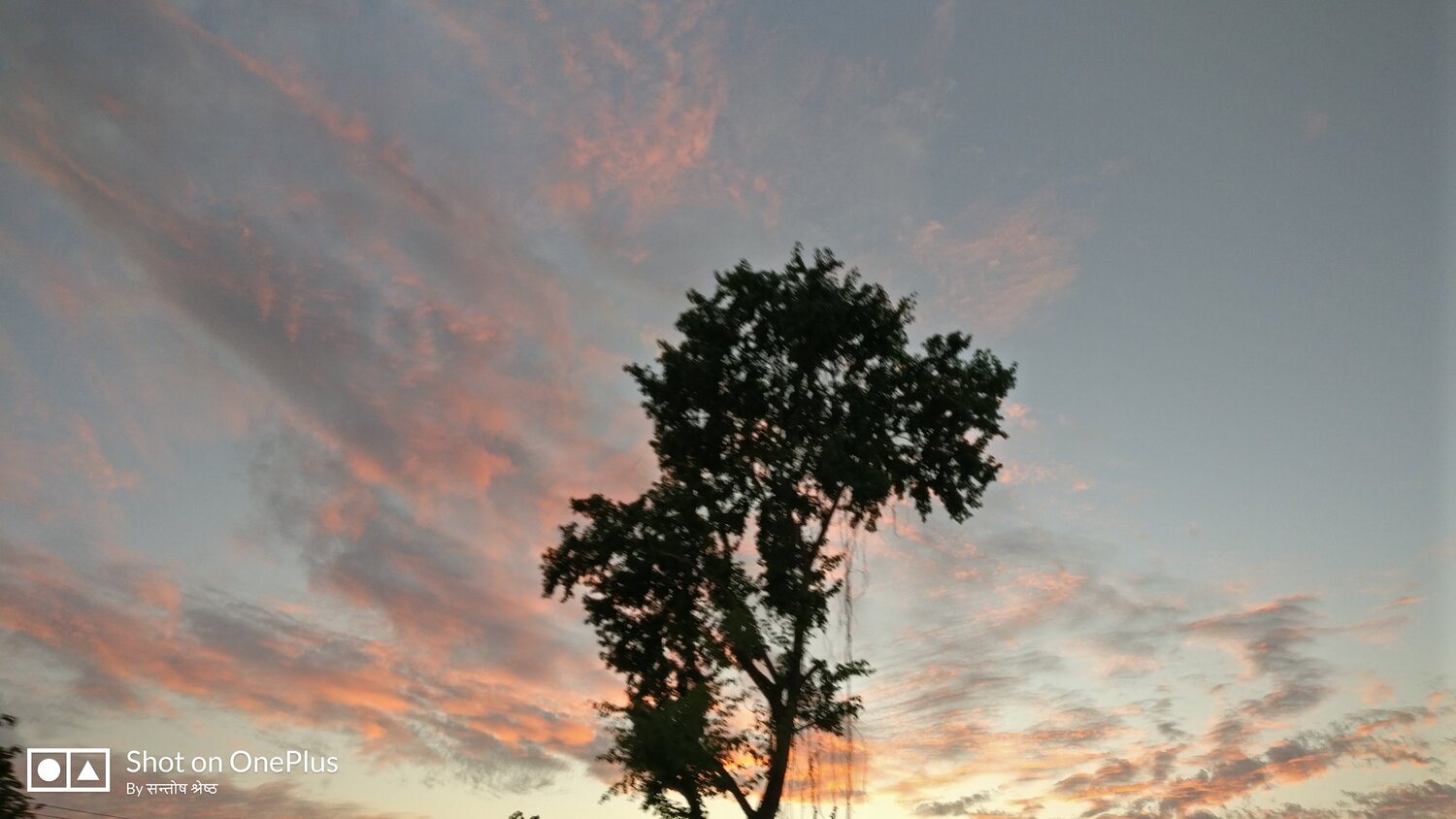 Colors of nature