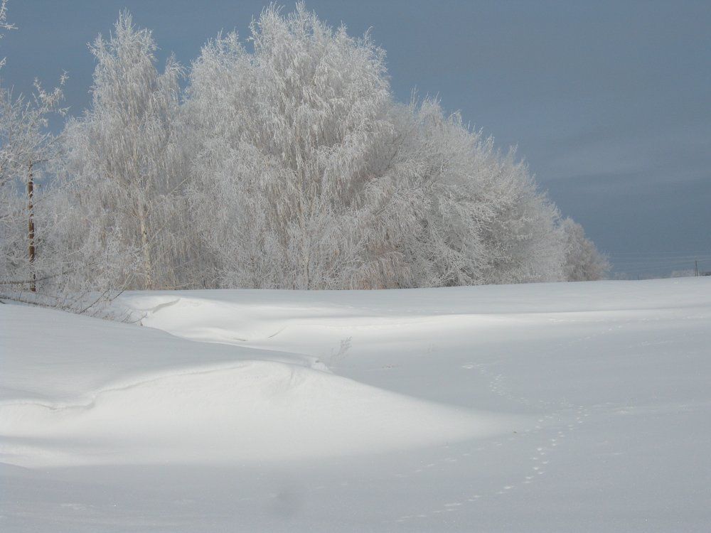 Снежное торжество
