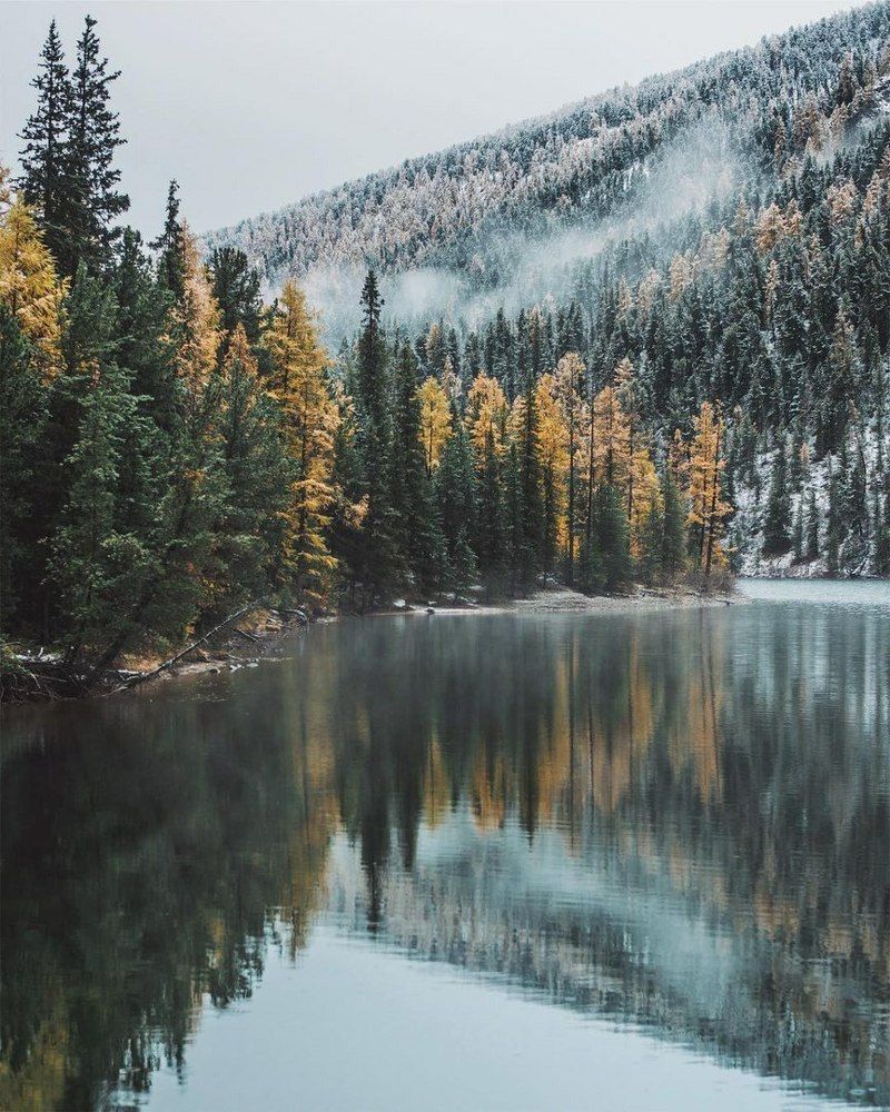 Тишина Алтая