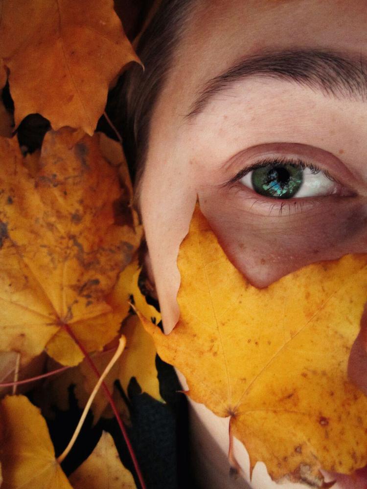 Последний день от ноября