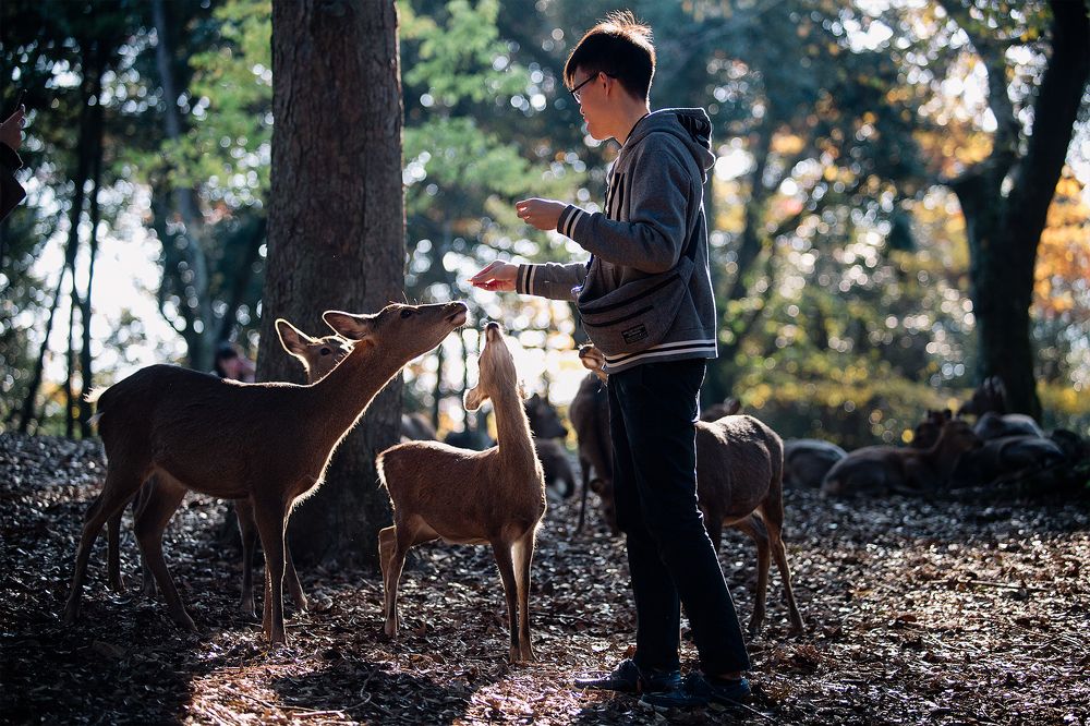 Photograph by Anna Markova