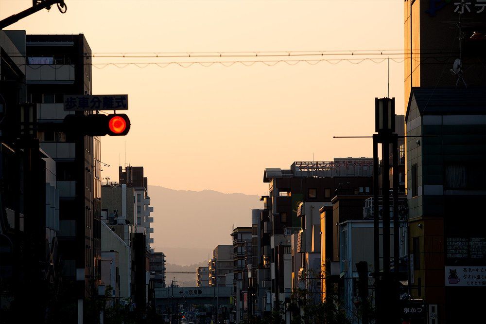 Photograph by Anna Markova