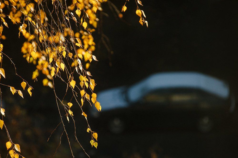 Первый снег