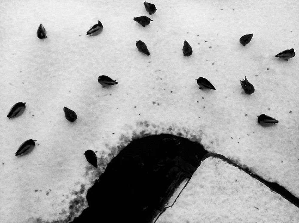 Photograph by Юлия