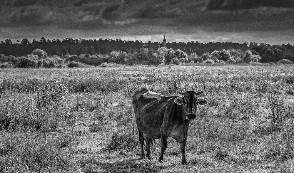 Случайная встреча.