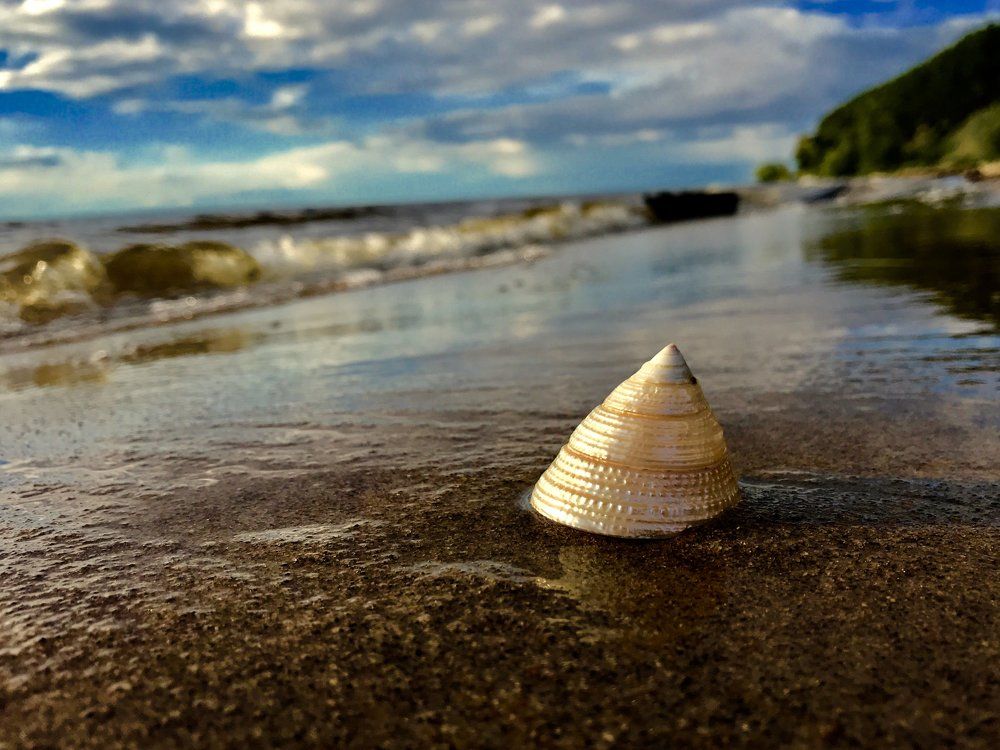 Лето на речке