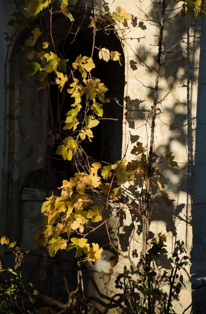 The play of light and shadow