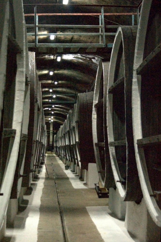 Прогулки по винному заводу...