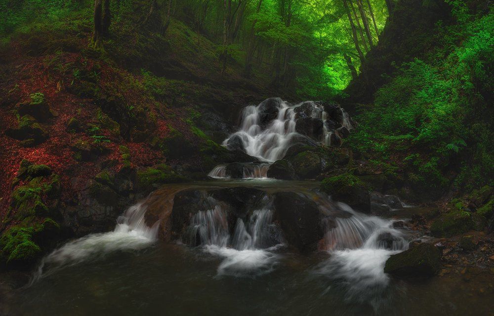 Весна в горах Болгарии