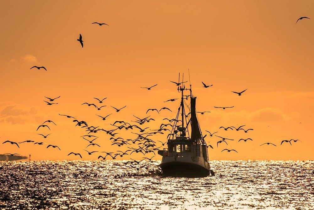 На промысле