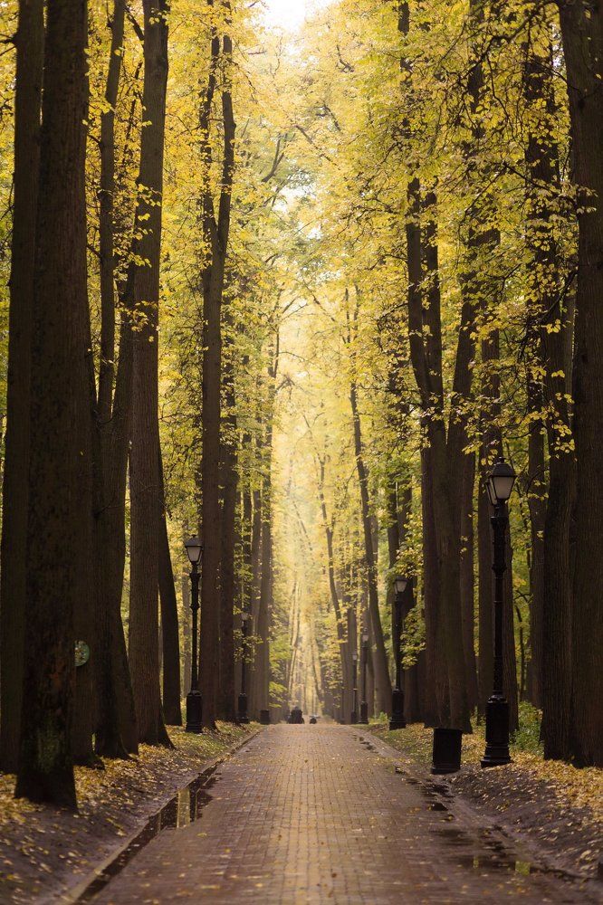 Осень в Царицыно...