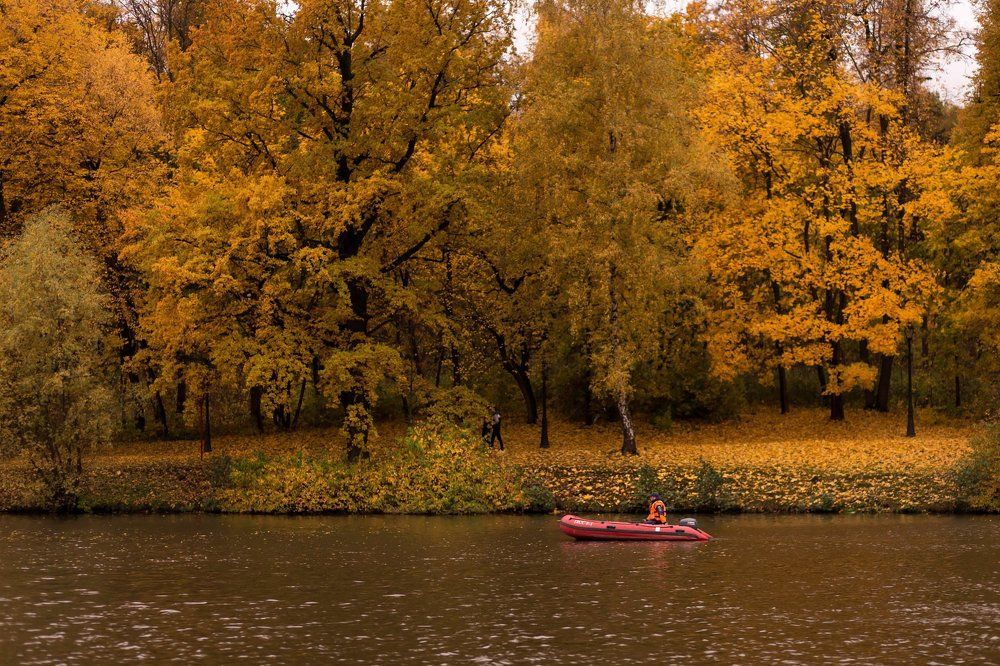 Золотая осень...