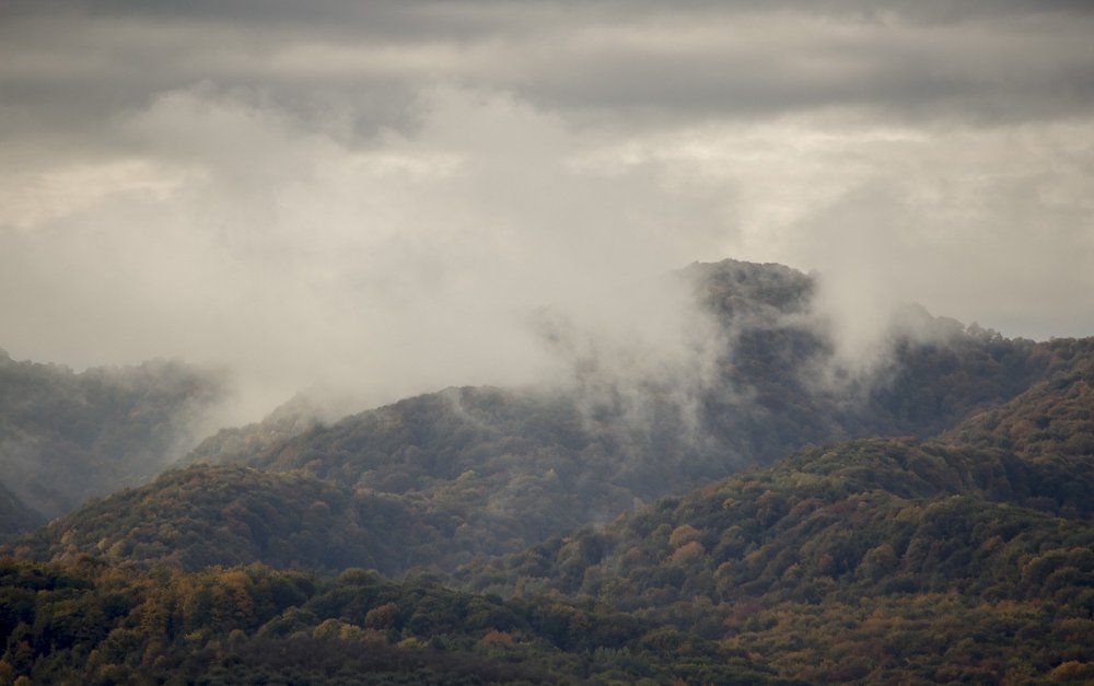 Photograph by Заур Бозиев