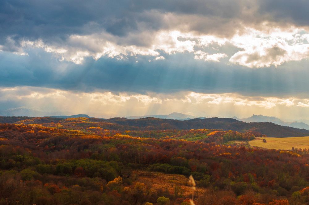 Photograph by Александр Орнатский