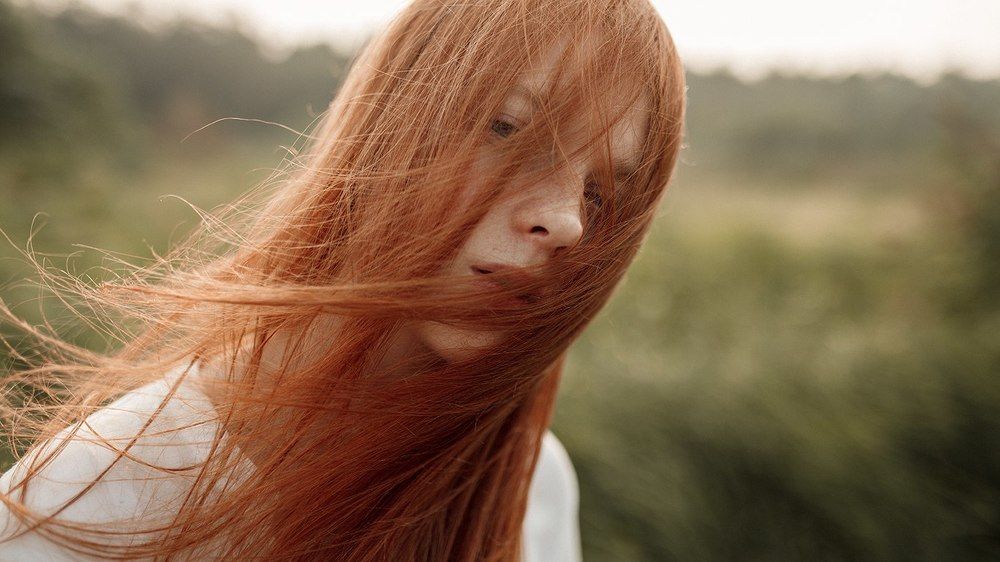 Photograph by Чистяков Вячеслав