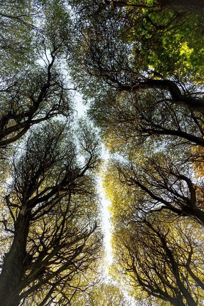 Photograph by Наталия Мамаева