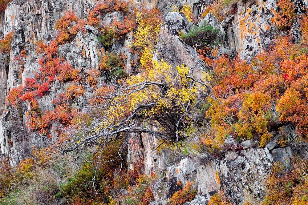 Краски осени