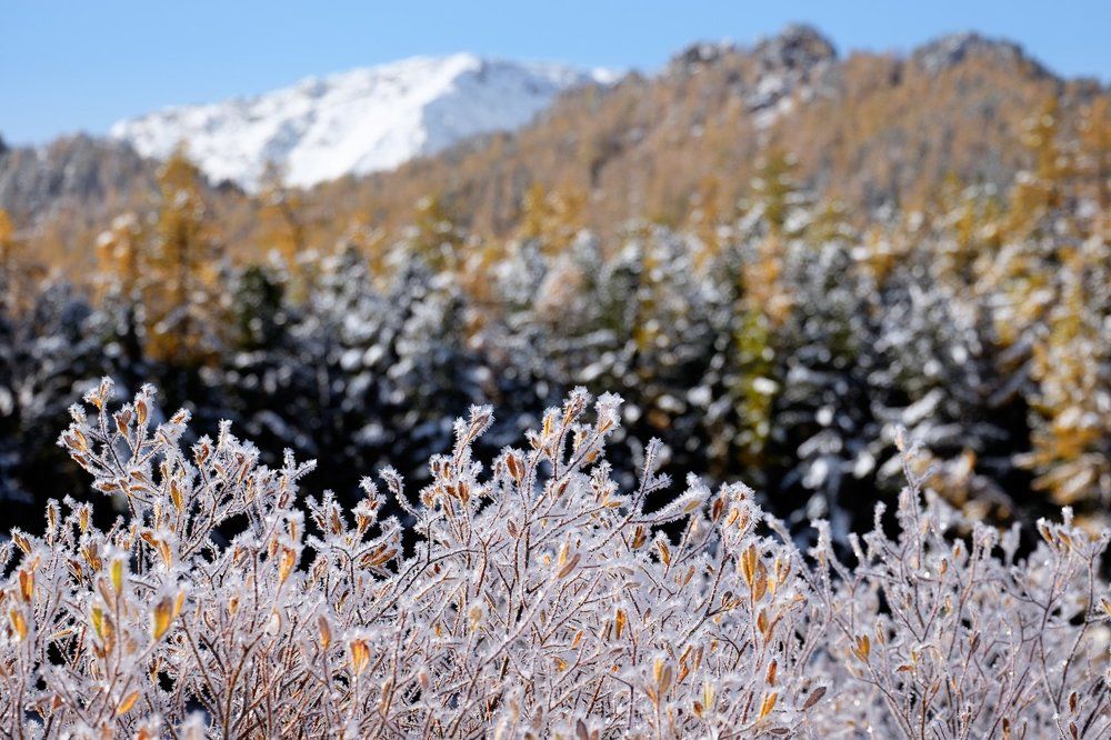 Серебро гор