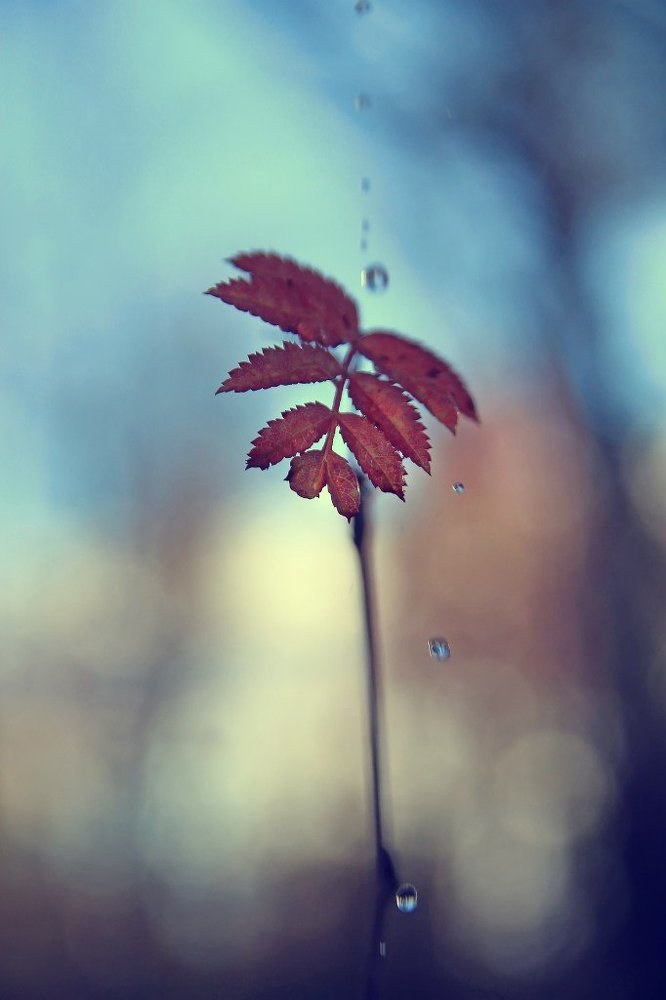 Photograph by Парамонов Григорий