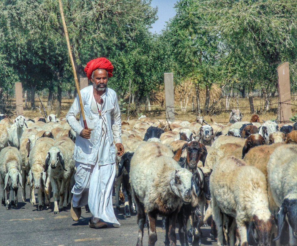 Rajasthani villager